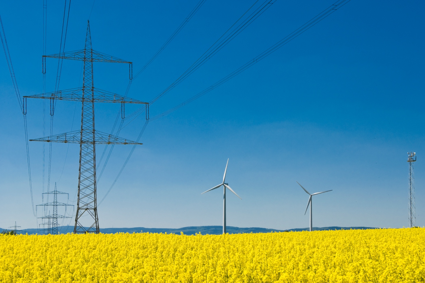 Electrical towers in the middle of flower fields as energy and communications software Hansen is added to the portfolio