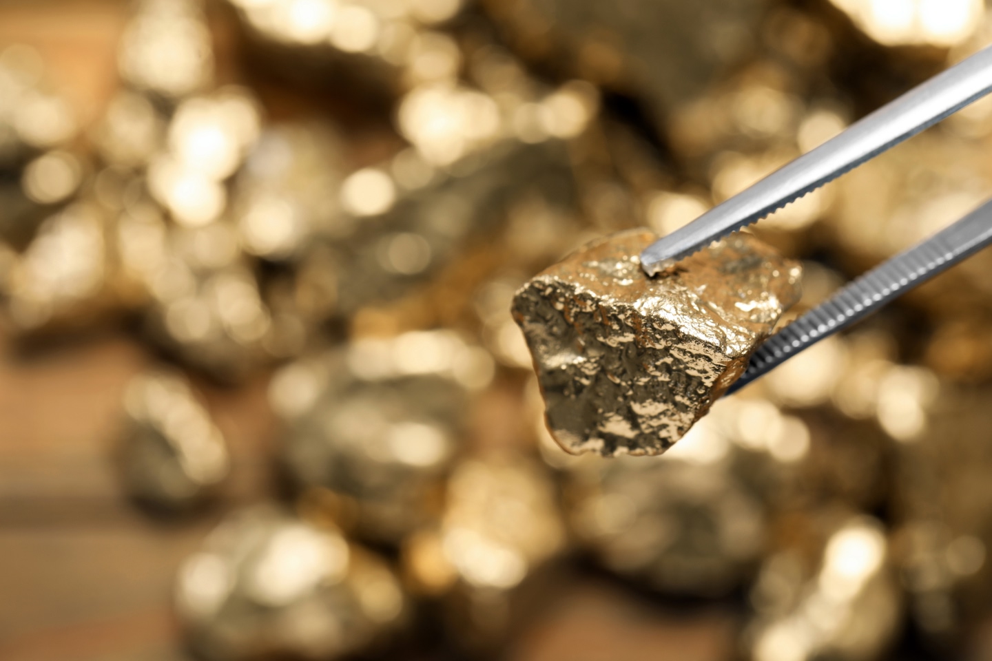 Gold nuggets with one being inspected, picked up with tweezers