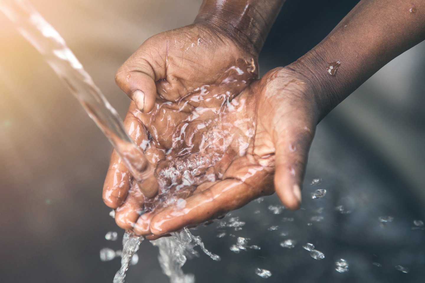 Person's hands in water