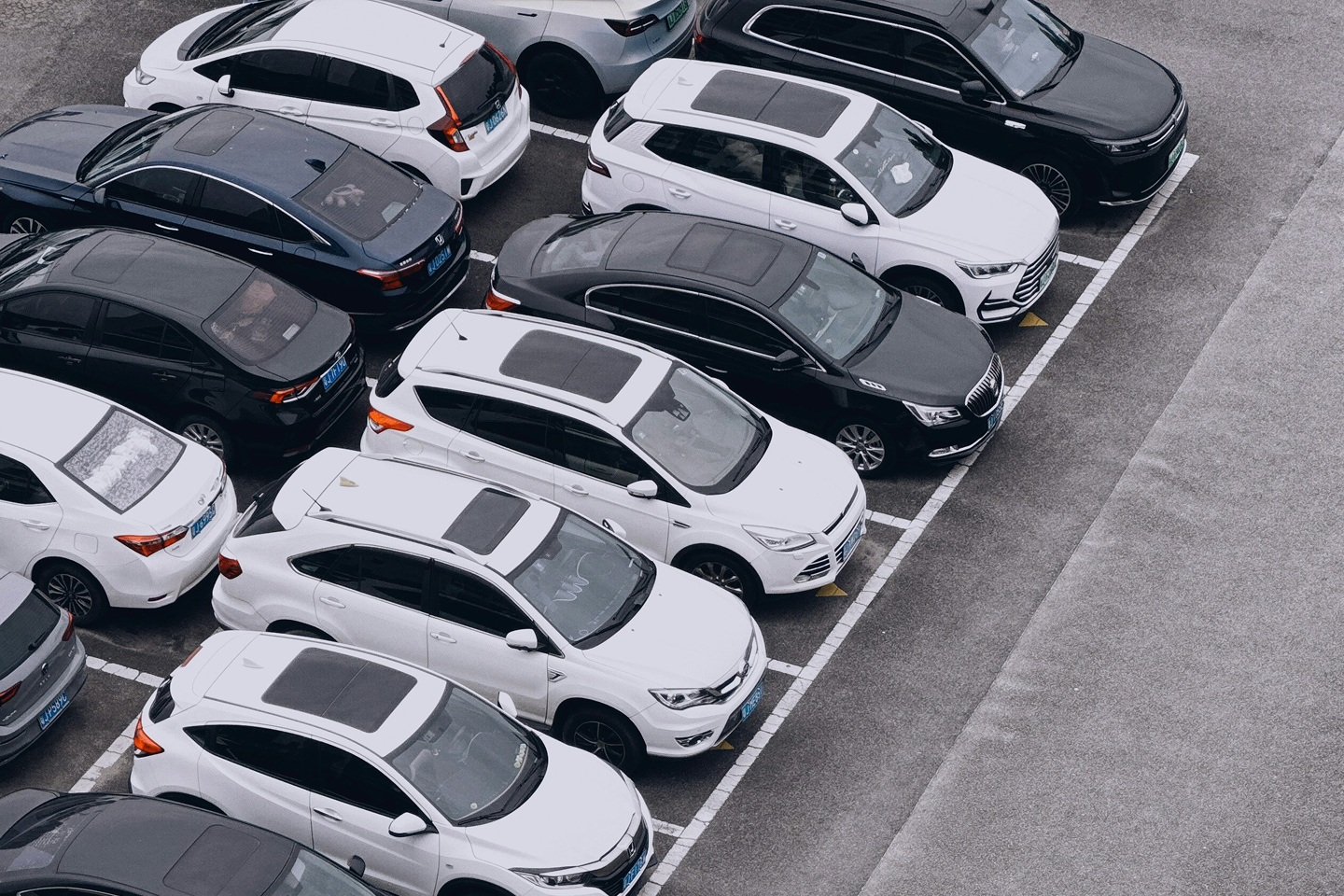fleet of electric cars