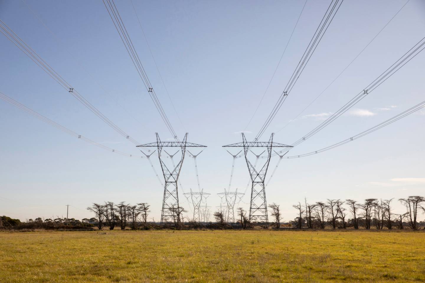 Multiple high-voltage electricity transmission pylons carrying power lines across a rural, grassy landscape.