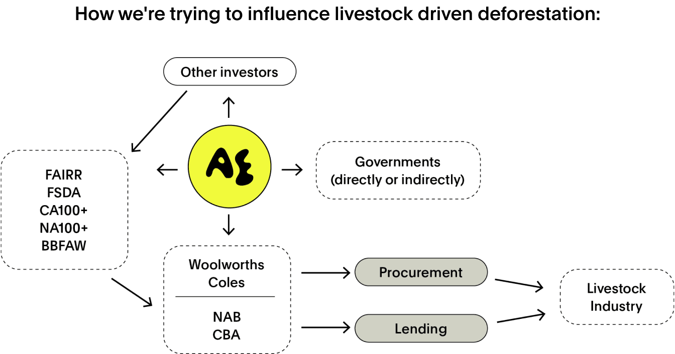 Flow chart showing Australian Ethical action towards stopping livestock deforestation