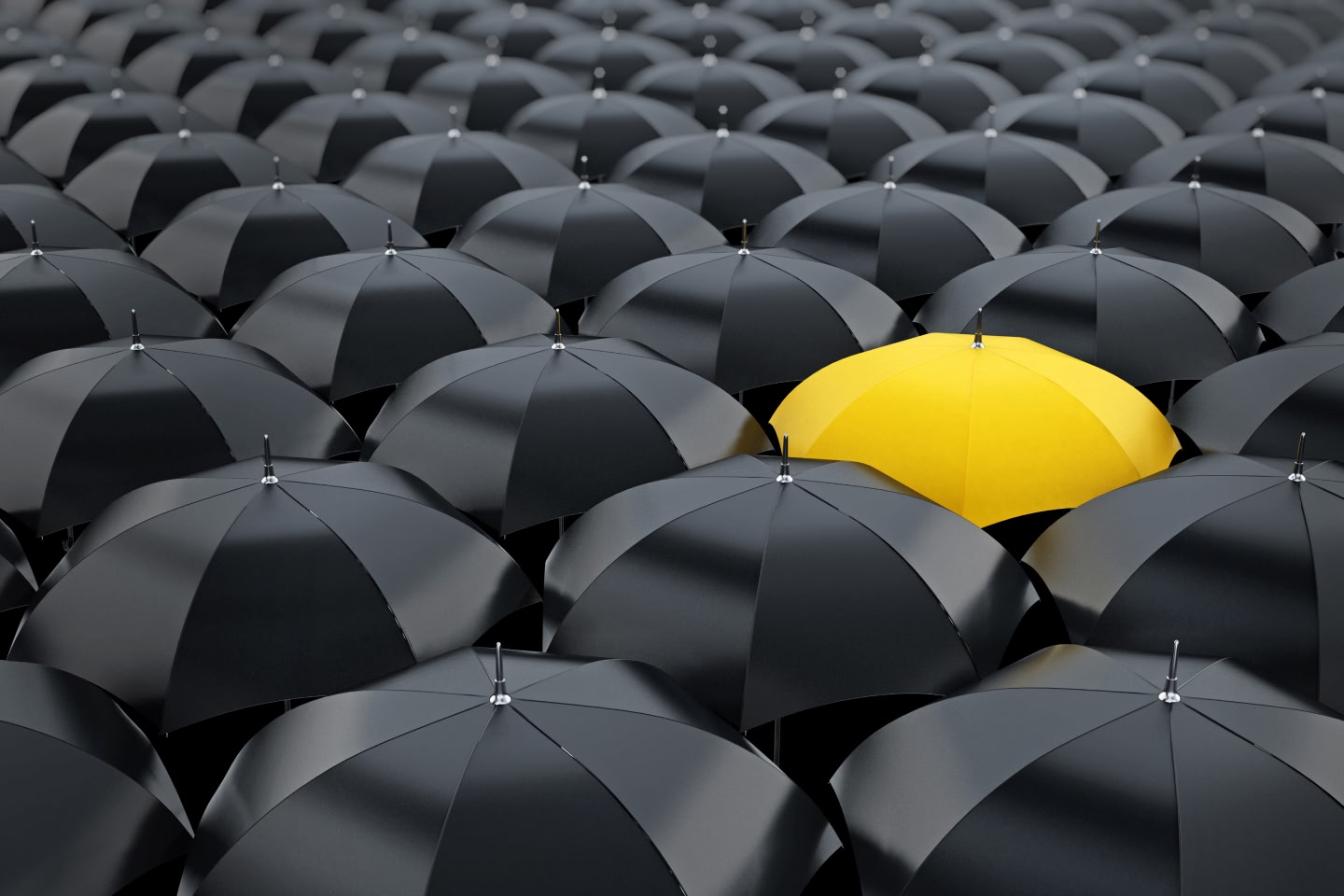 Single yellow umbrella standing out in a crowd of black umbrellas
