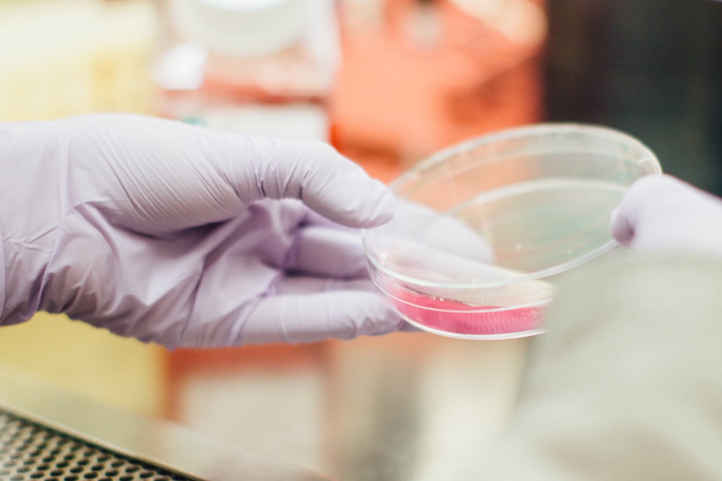 Petri dish representing lab testing