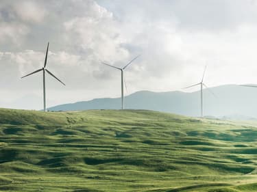 HERO_EthicalCriteria_Climate Policy_Mobile-1783404505227.jpg