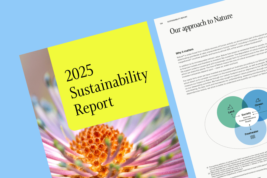 2025 Sustainability insights