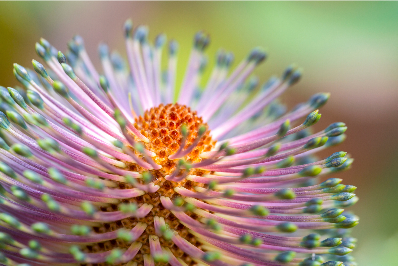 Sustainability Report