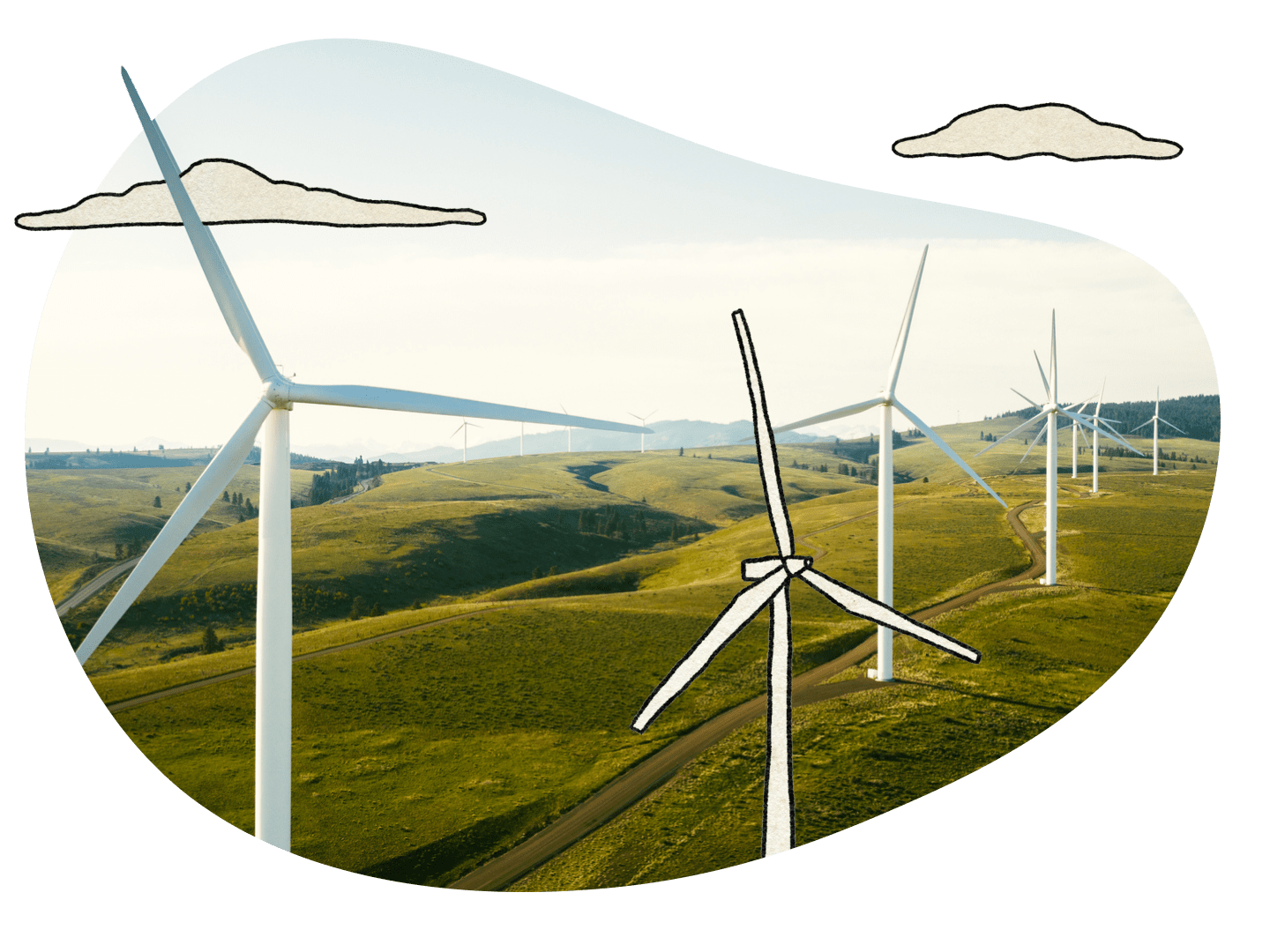 HomePage-50-50-Ethical Investments-1770609405593.png