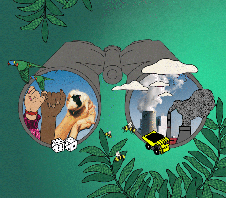 Creative 2 - Binoculars - Hero-Desktop_v2-1779946497142.gif