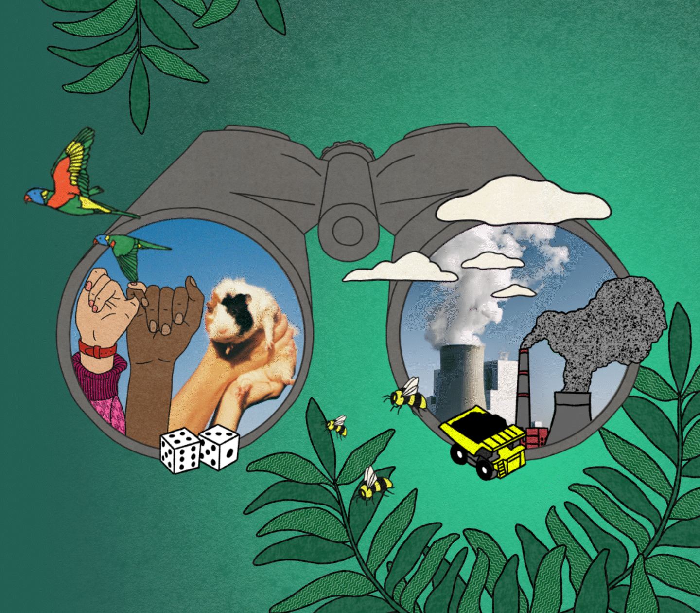 Creative 2 - Binoculars - Hero-Desktop_v3-1780369761595.gif
