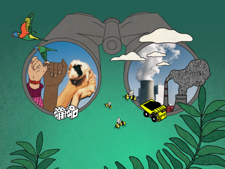 Creative 2 - Binoculars - Hero-Mobile-1780369759767.gif