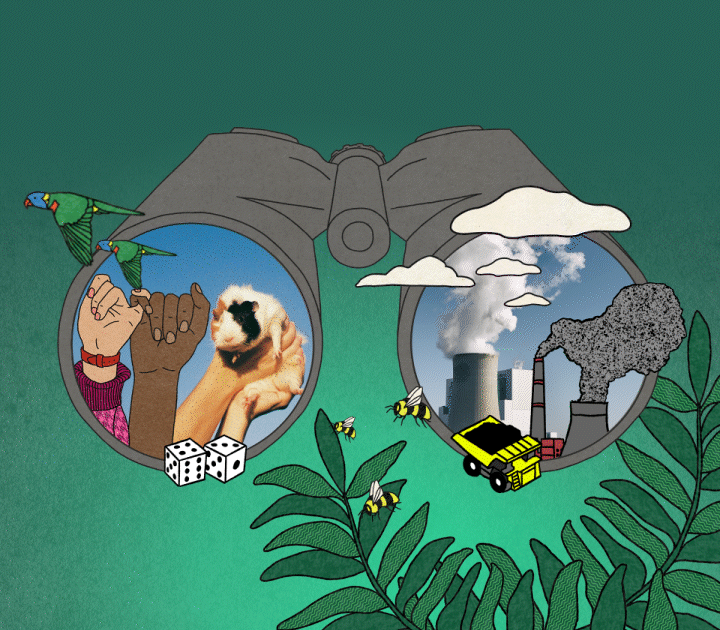 Creative 2 - Binoculars - Hero-Mobile_v2-1779946498704.gif