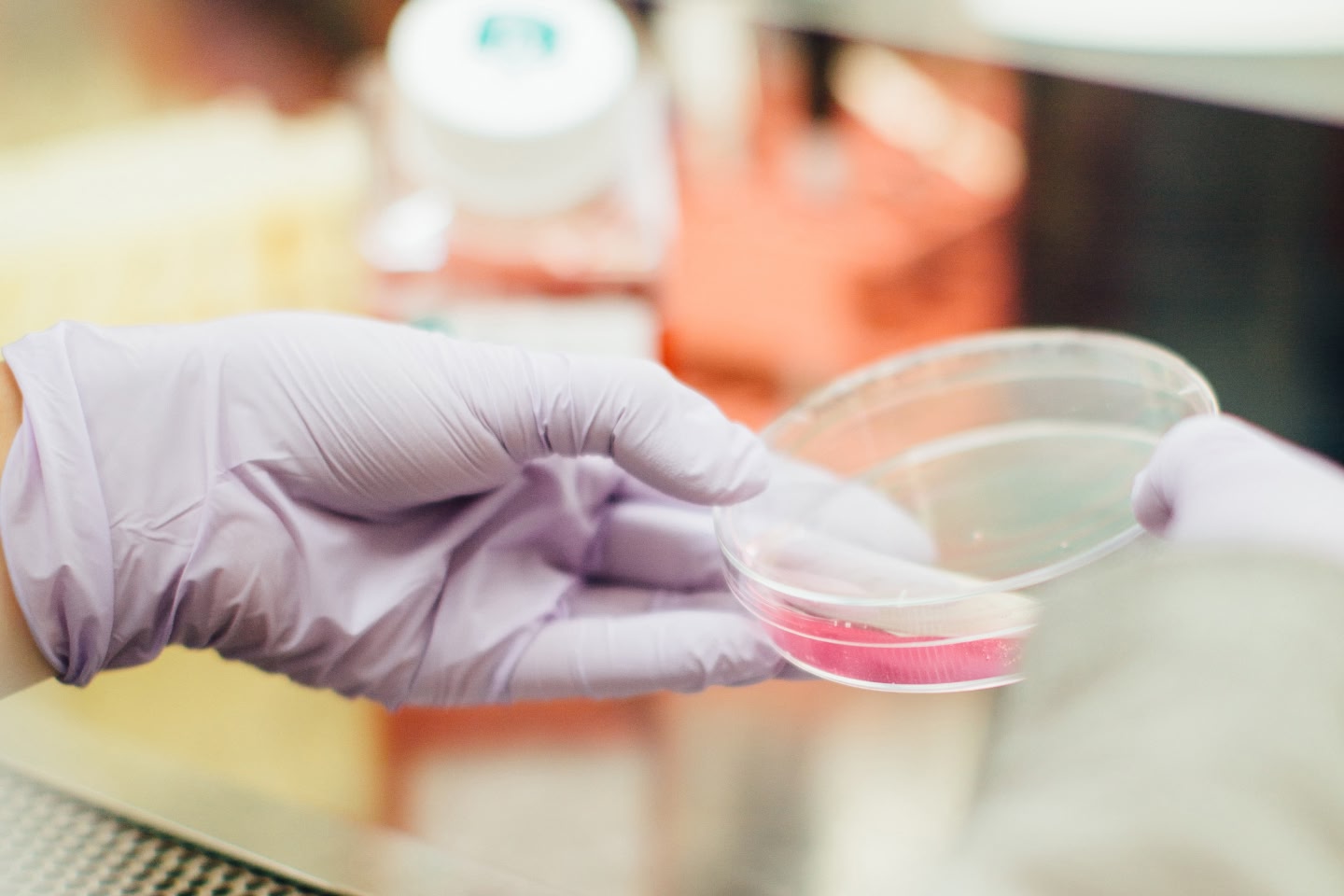 Person doing a test with a petri dish in a lab