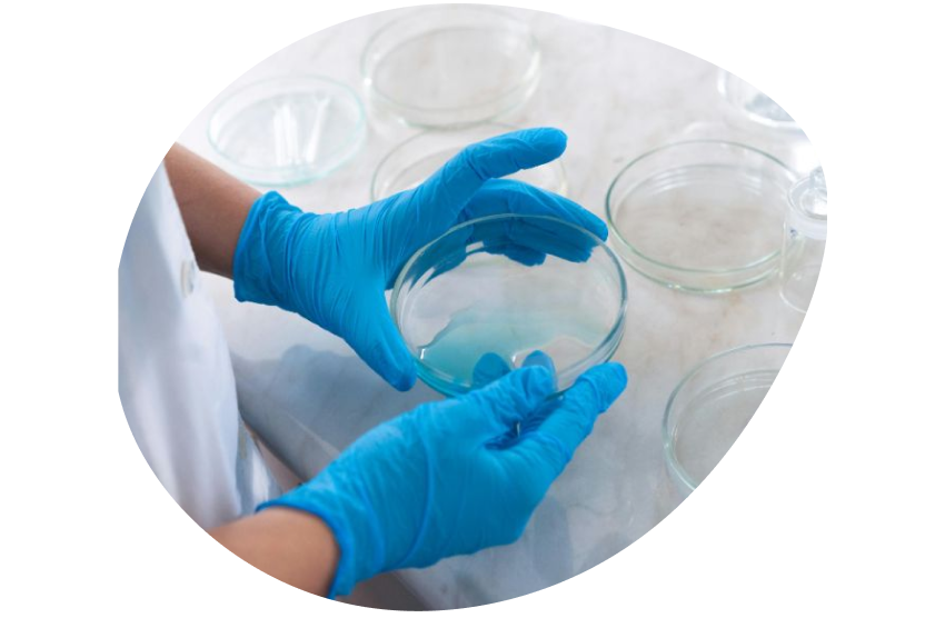 Scientist in latex gloves conducting medical experimentation