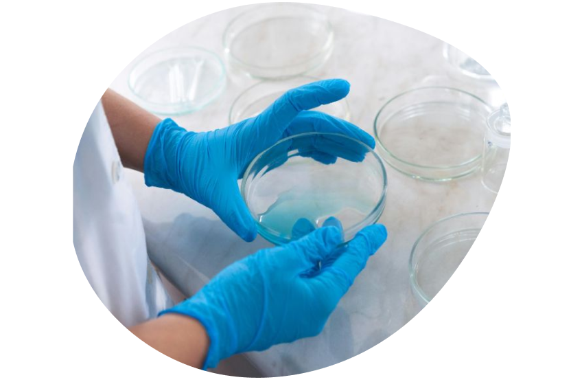 Scientist in latex gloves conducting medical experimentation