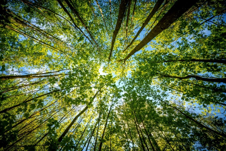 Latest commentary: March 2026 update