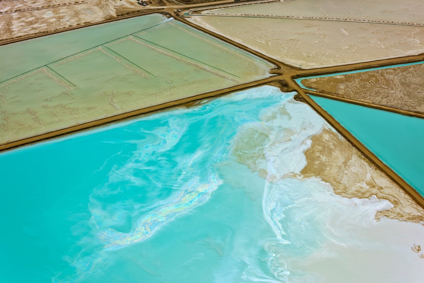 Overhead view of crops to represent PLS Group
