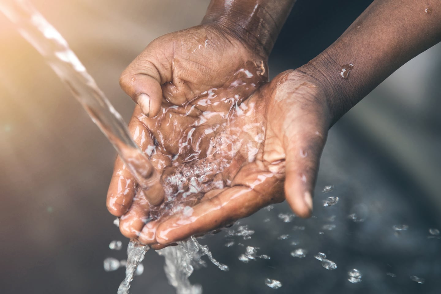 Person's hands in water