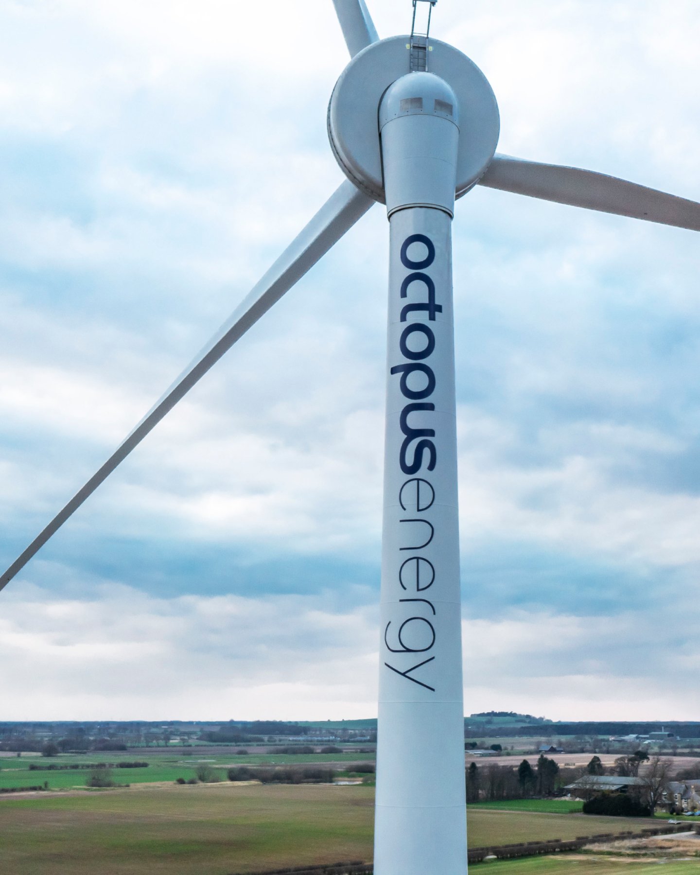 CaseStudy_OctopusEnergy-1761108075893.jpg