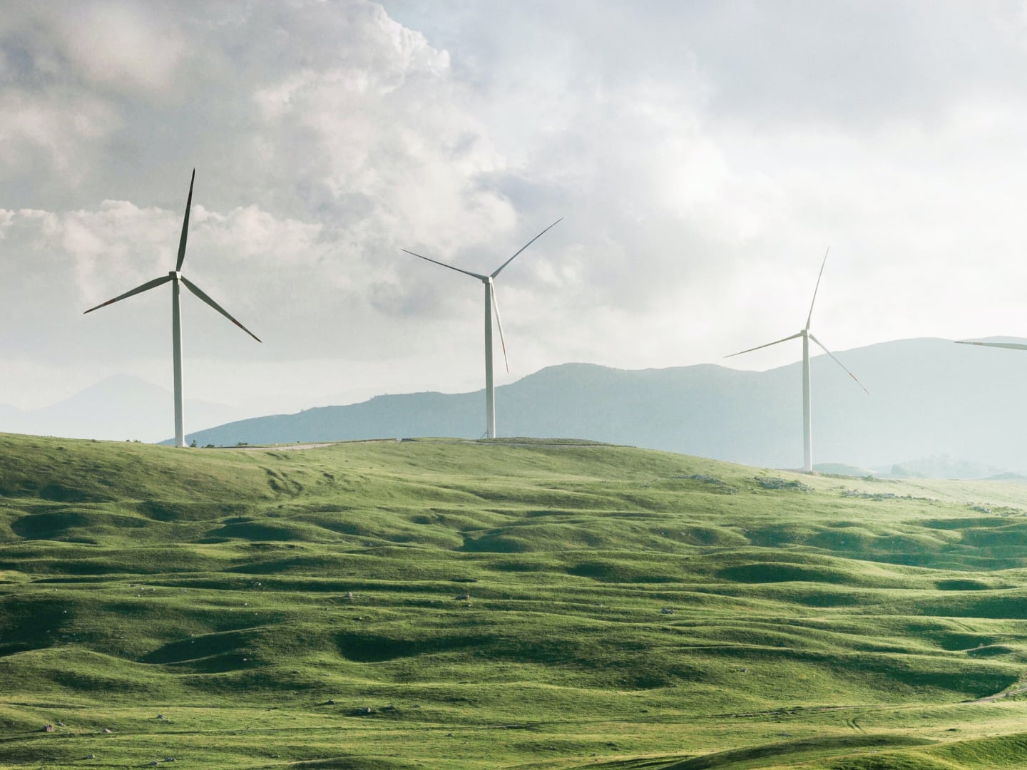 HERO_EthicalCriteria_Climate Policy_Mobile-1783404505227.jpg