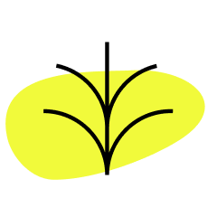An increased % of land revegetated and protected