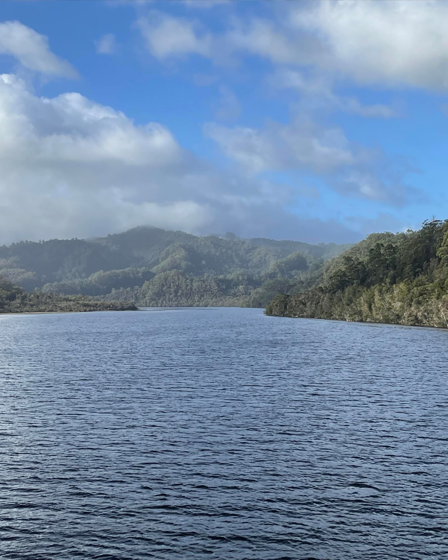 Partners-Environment Tasmania-1772065762544.jpg