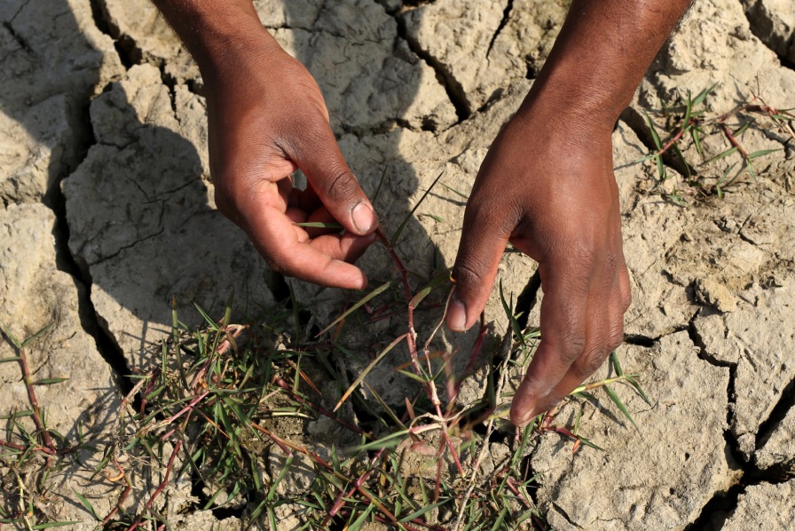 Place-based nature solutions 