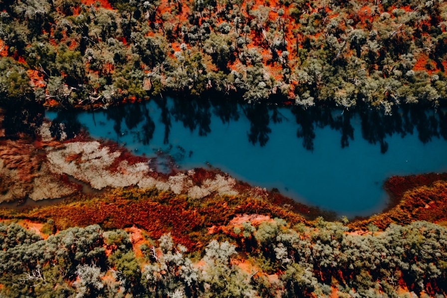 Unlocking capital for nature 