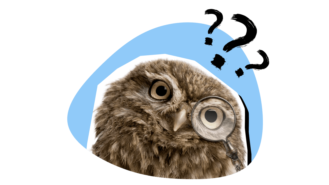 Curious owl with a magnifying glass and question marks overhead