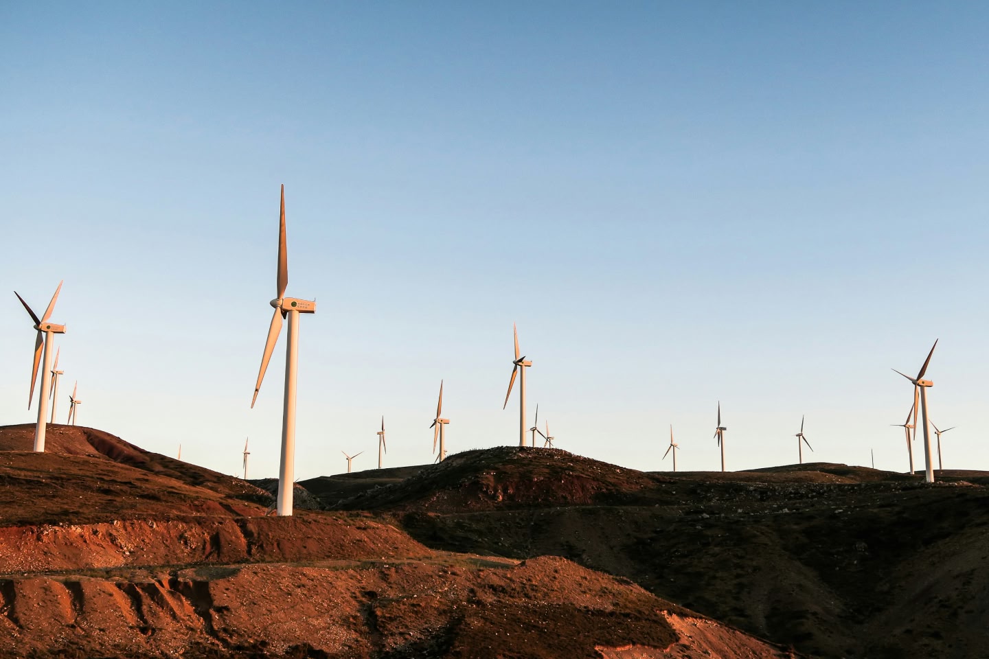 At Australian Ethical, we think that redirecting capital toward clean energy isn’t just good for the planet, it’s essential for managing the risk of stranding capital in industries in decline. 