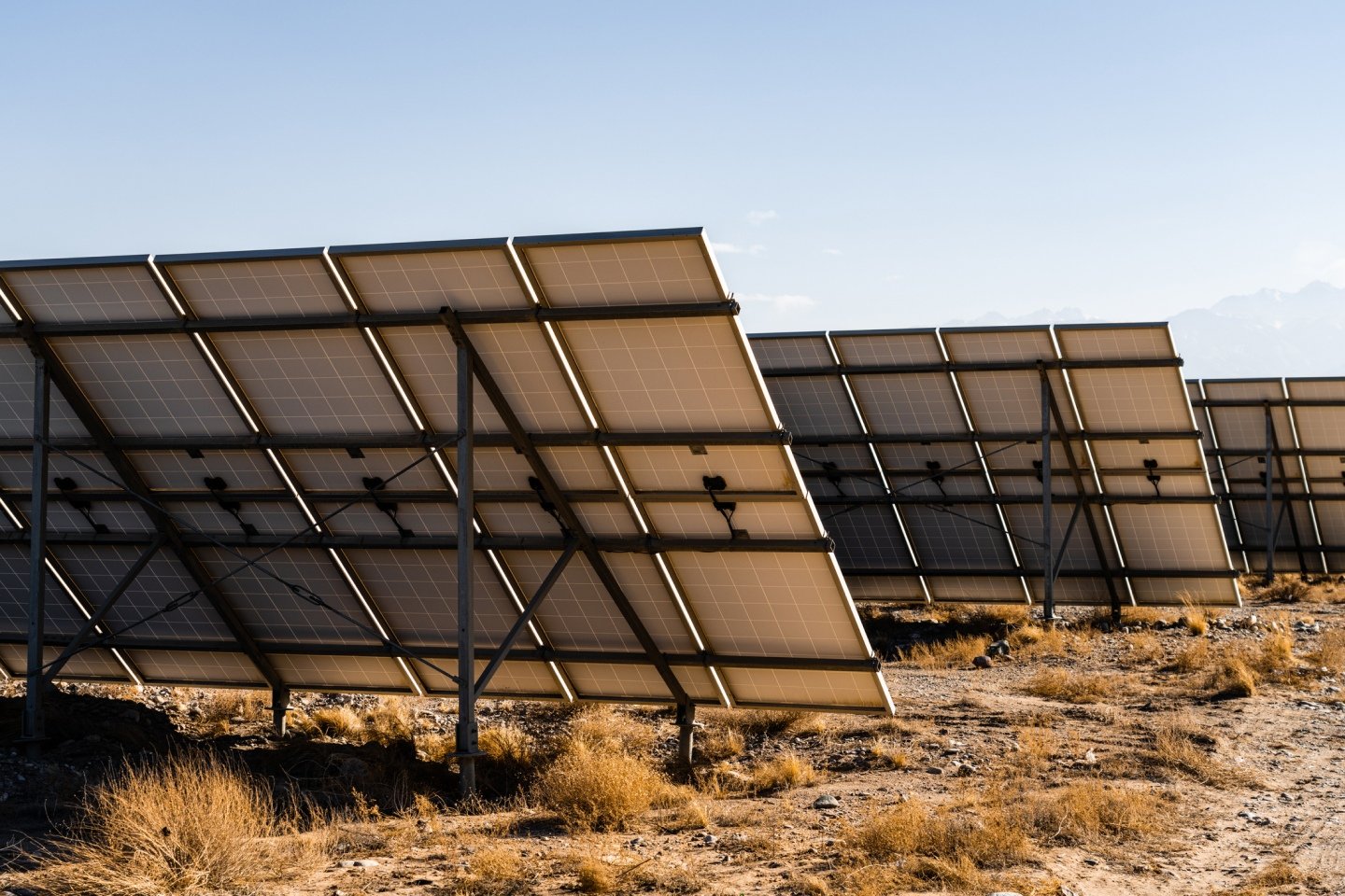 Field of solar panels