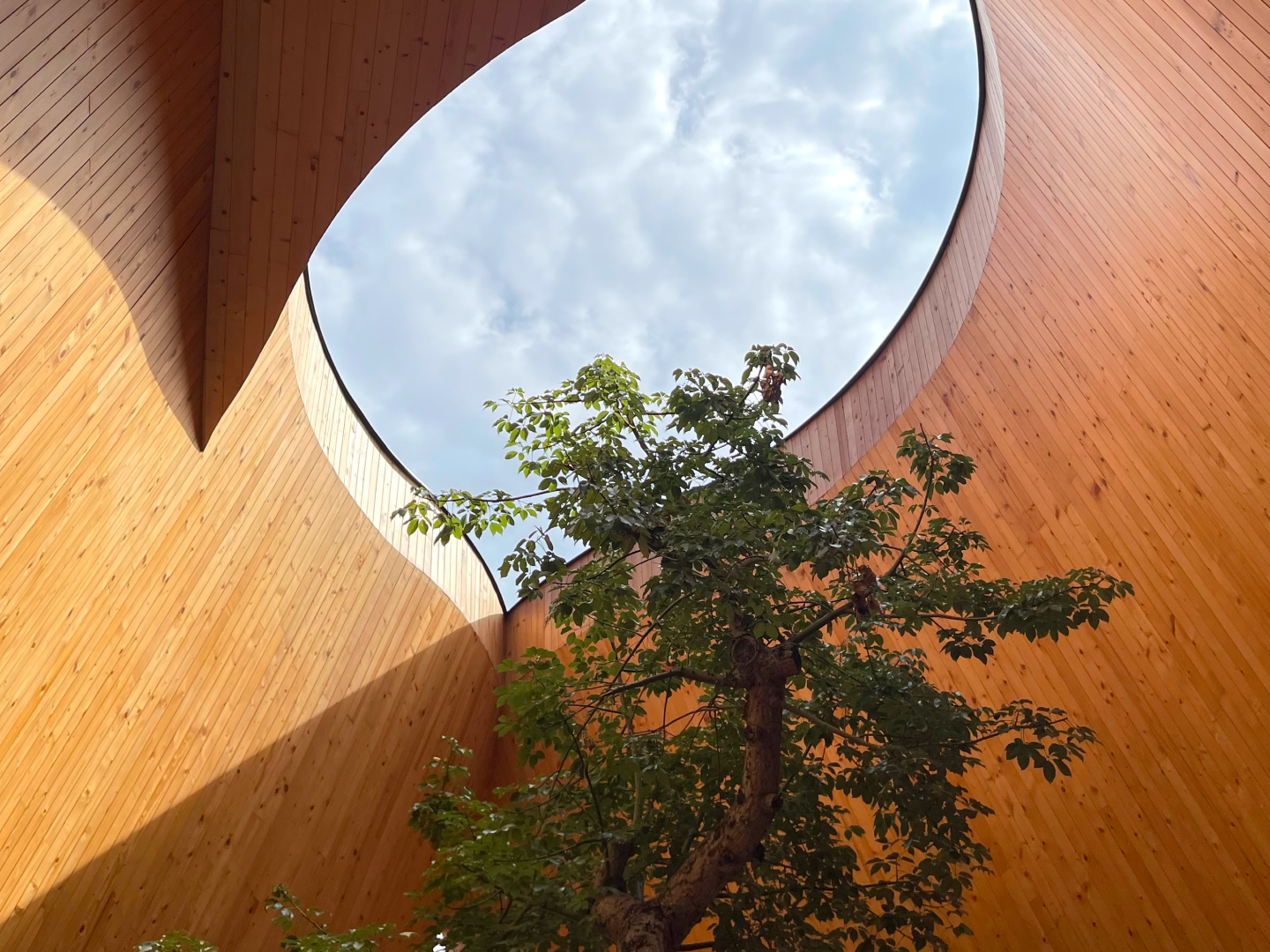 Multi Asset_50 Hero_NEW ASSET-1774497823998.png