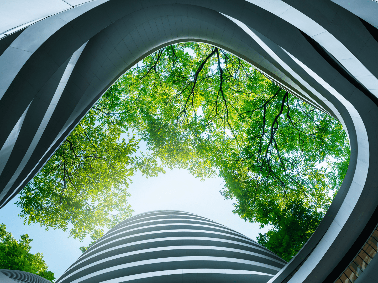 Multi Assets_50 Hero-1773979838398.png