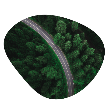 Two business people discussing work while seated on a bench, viewed from above, surrounded by green plants.
