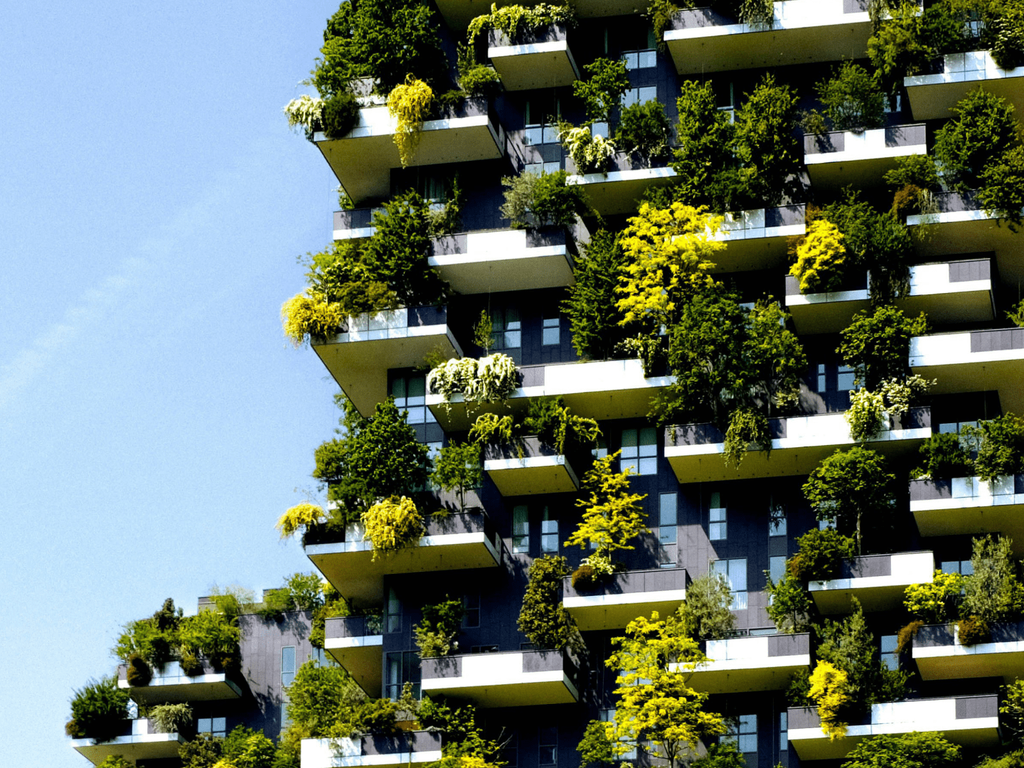 Private Markets_5050-Image-1773981342932.png